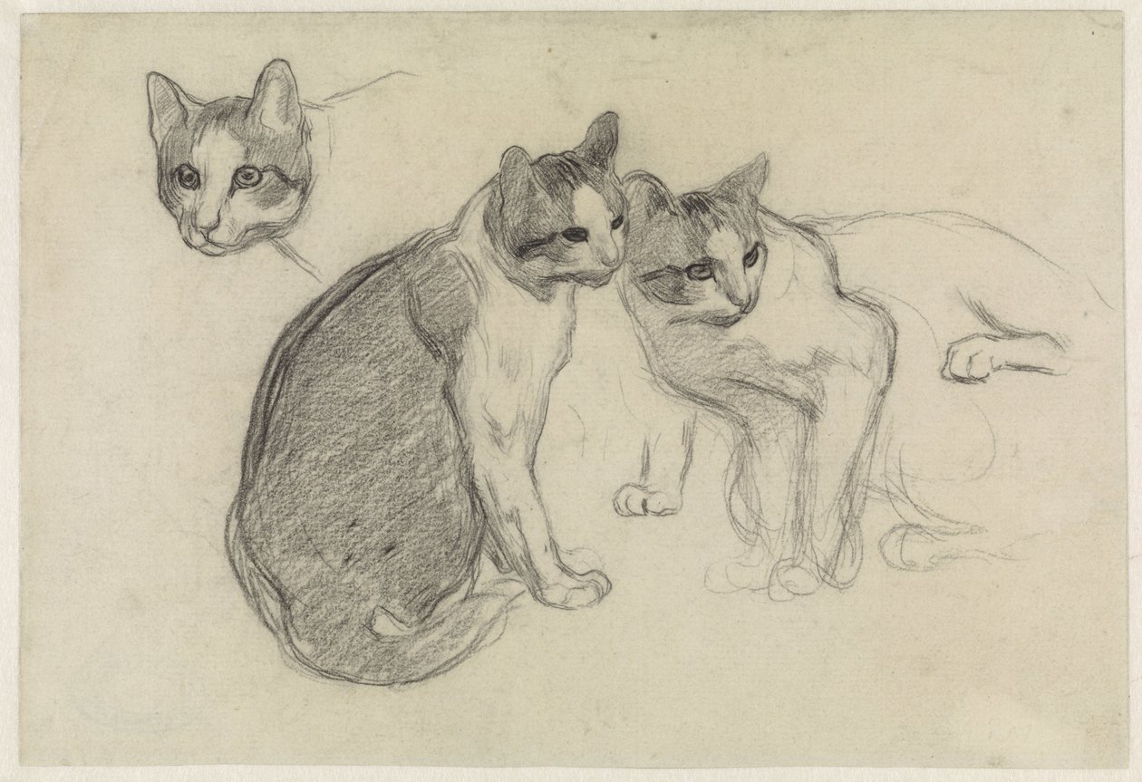 Hoja de estudio con gatos de Jan van Essen
