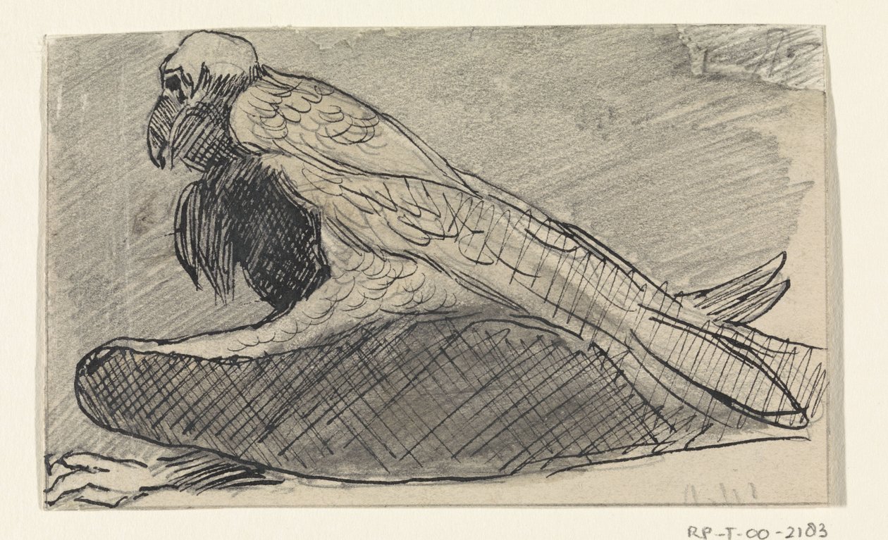 Buitre sentado de Jan van Essen