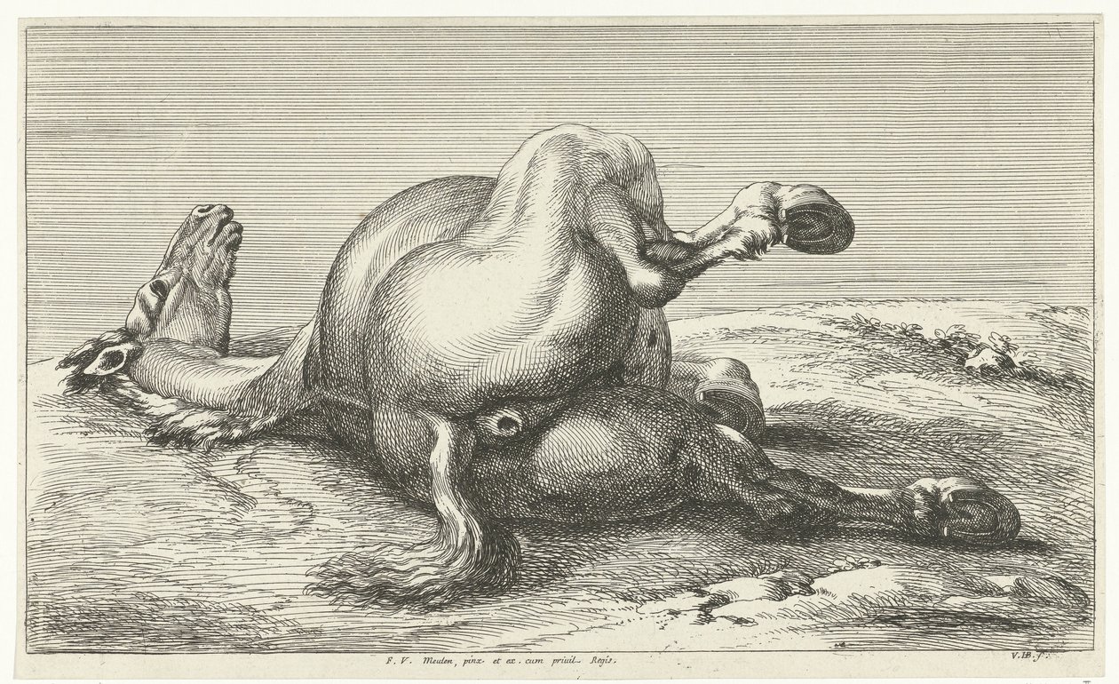 caballo caído Caballos muertos (título de la serie) de Jan van Huchtenburg