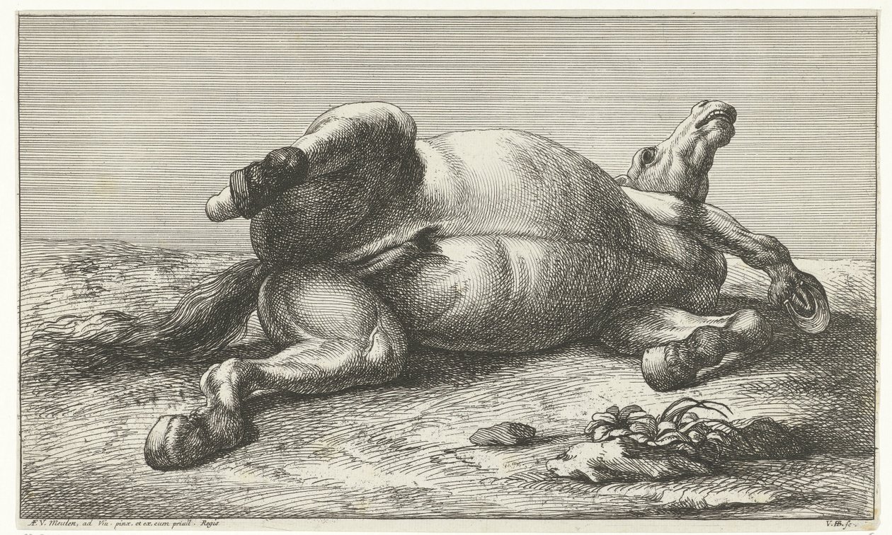 Caballo muerto acostado sobre su lado izquierdo Caballos muertos (título de la serie) de Jan van Huchtenburg