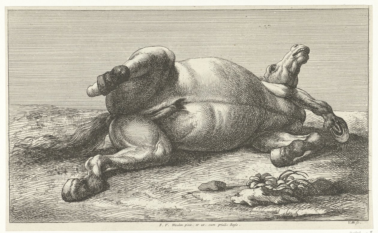 Caballo muerto acostado sobre su lado izquierdo Caballos muertos (título de la serie) de Jan van Huchtenburg