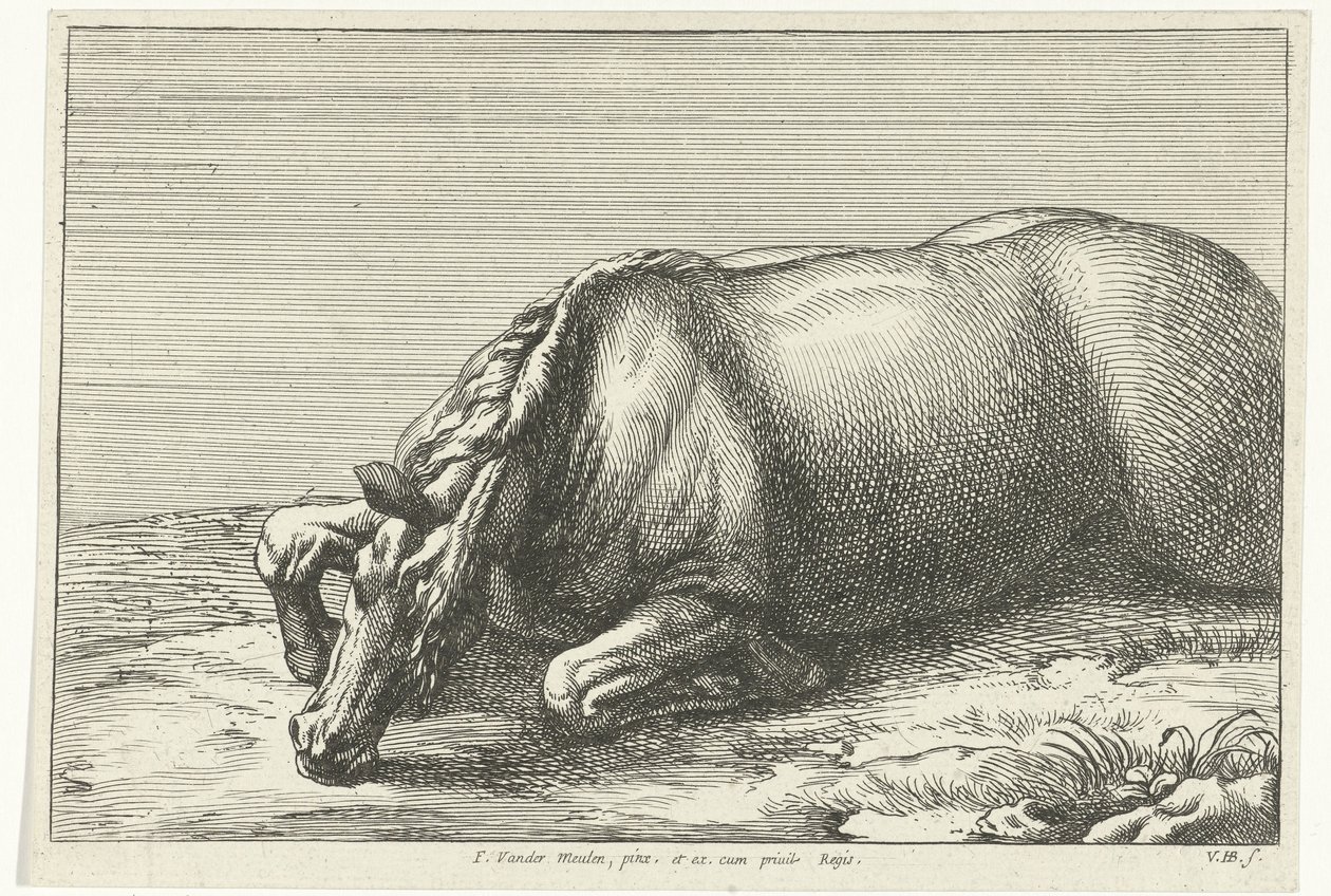 Caballo muerto visto en el lado izquierdo Caballos muertos (título de la serie) de Jan van Huchtenburg