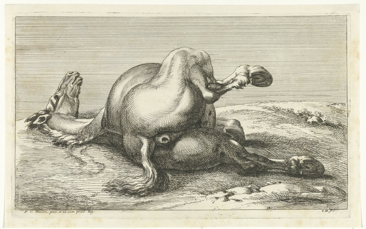 Caballo muerto visto desde atrás Caballos muertos (título de la serie) de Jan van Huchtenburg