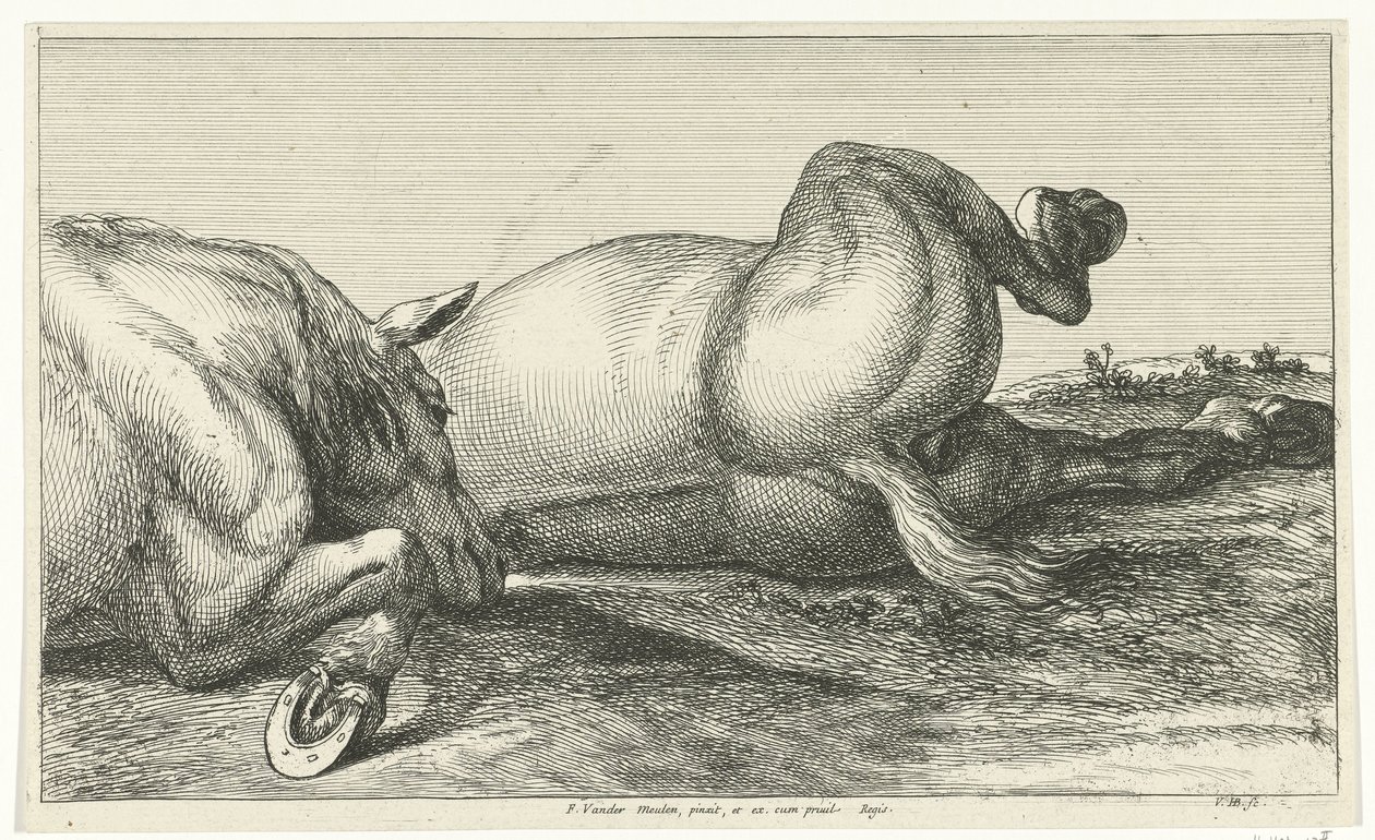 Dos caballos muertos tirados en fila Caballos muertos (título de la serie) de Jan van Huchtenburg
