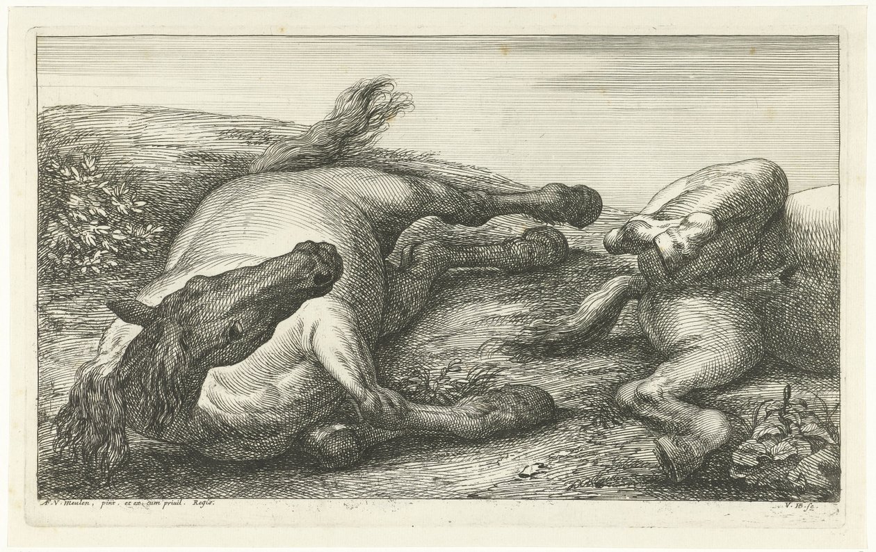 Dos caballos caídos, el izquierdo visto de frente Caballos muertos (título de la serie) de Jan van Huchtenburg