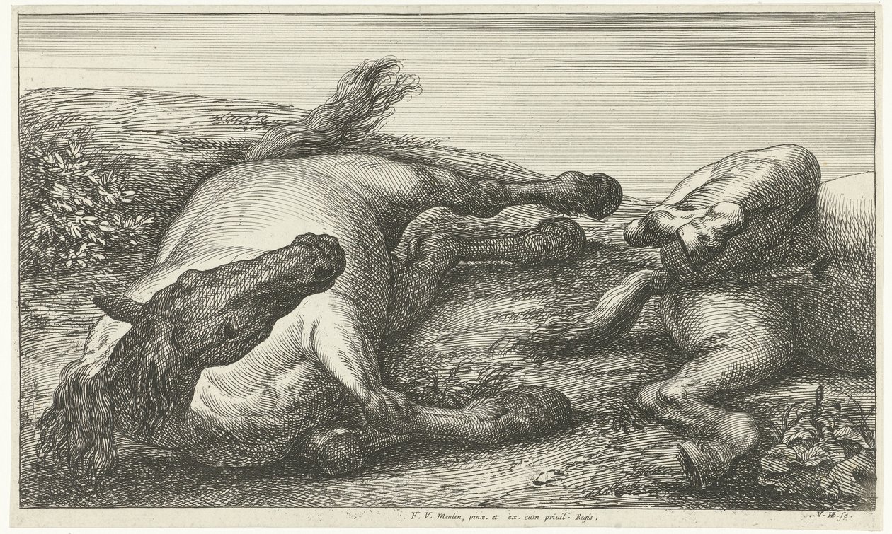 Dos caballos caídos, el izquierdo visto de frente Caballos muertos (título de la serie) de Jan van Huchtenburg
