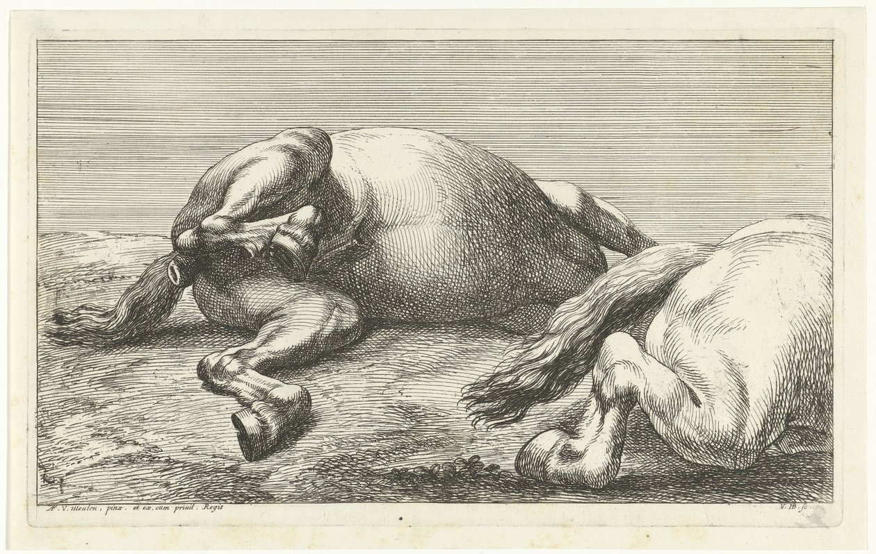 Dos caballos caídos, el derecho visto de lado Caballos muertos (título de la serie) de Jan van Huchtenburg