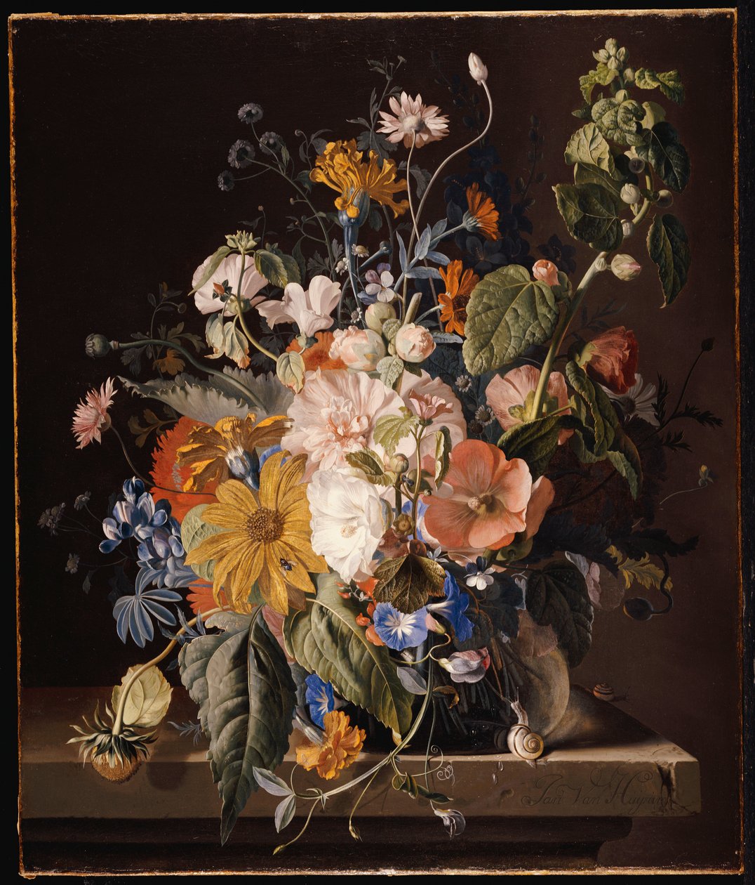 Amapolas, malva real, gloria de la mañana, viola, margaritas, guisante de olor, caléndulas y otras flores en un jarrón con un caracol en un borde de Jan van Huysum