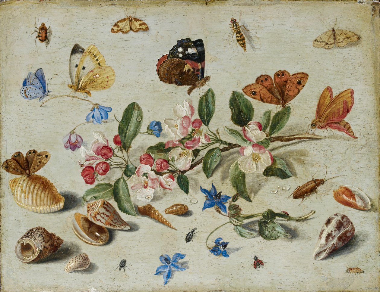 Flores e insectos, finales de 1650 o principios de 1660 de Jan van Kessel