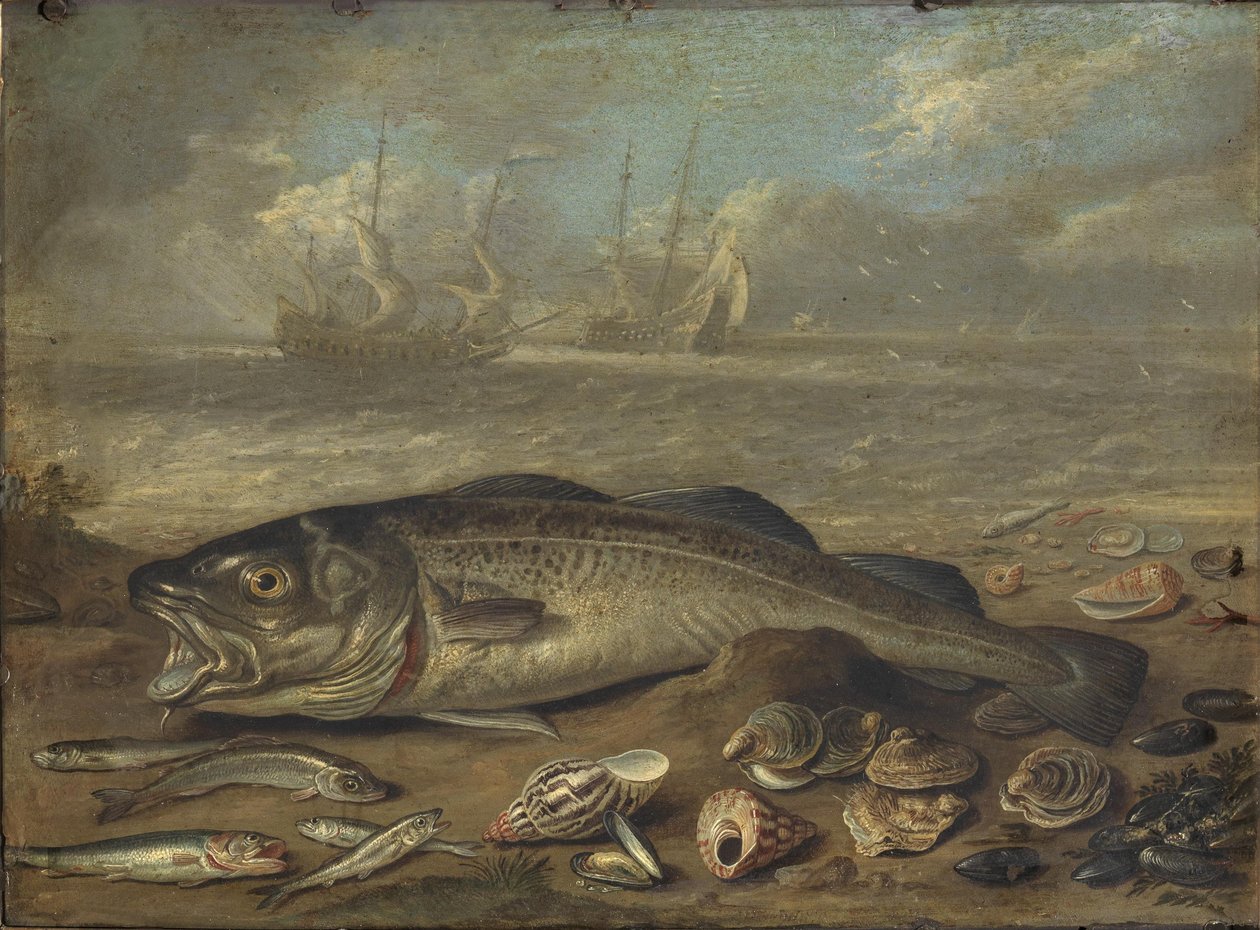 Peces y paisaje marino de Jan van Kessel the Elder