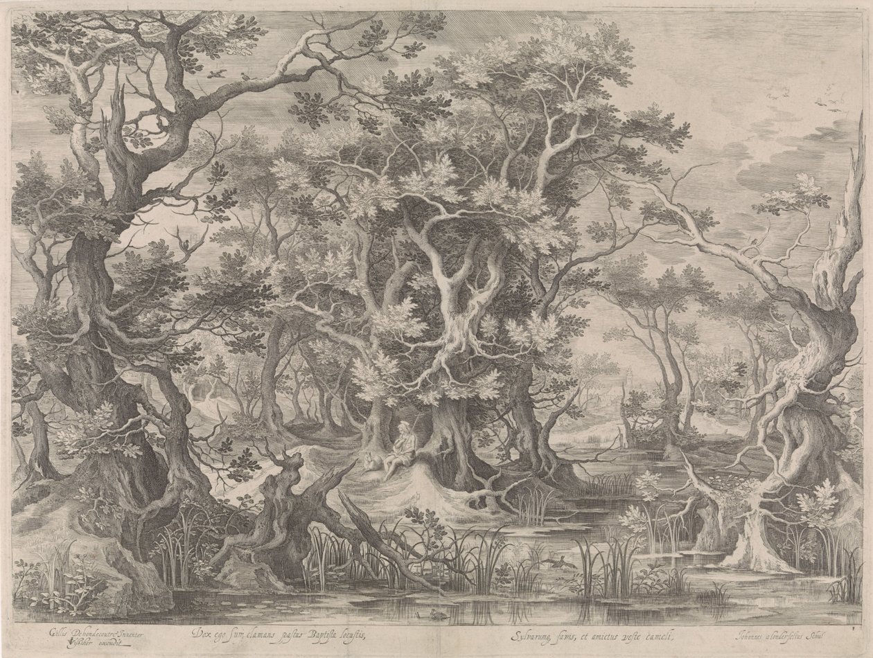 Juan el Bautista rezando en un paisaje pantanoso de Jan van Londerseel