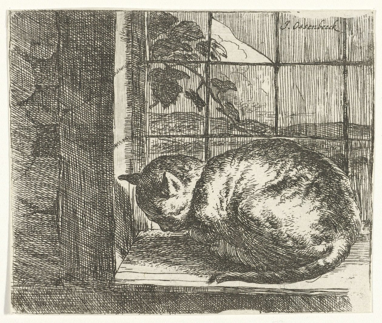 Gato en el marco de la ventana de Jan van Ossenbeeck