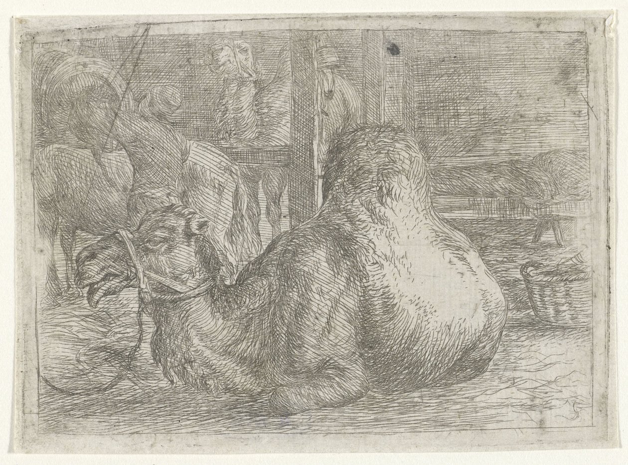 camello acostado de Jan van Ossenbeeck