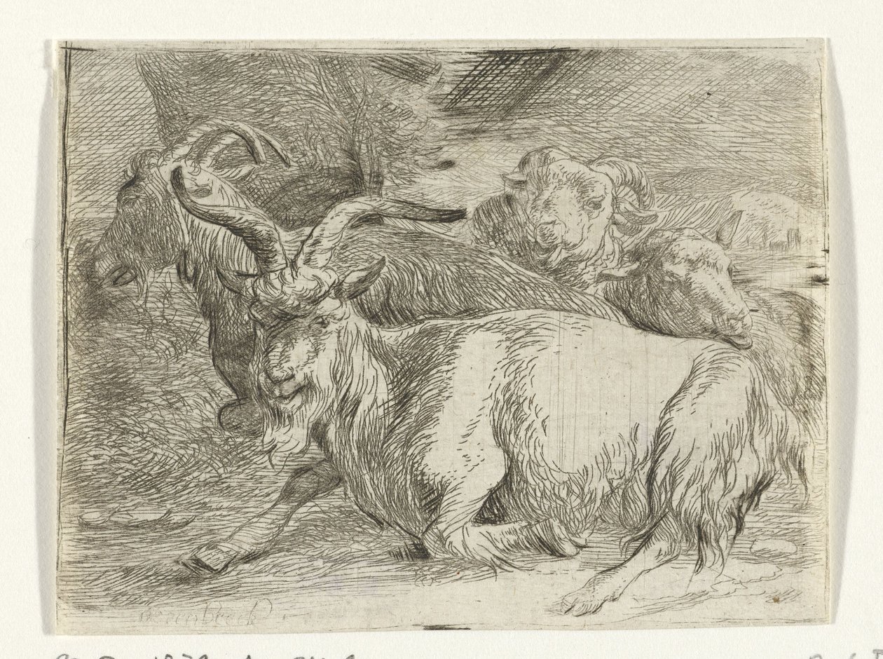 Dos cabras y dos ovejas de Jan van Ossenbeeck