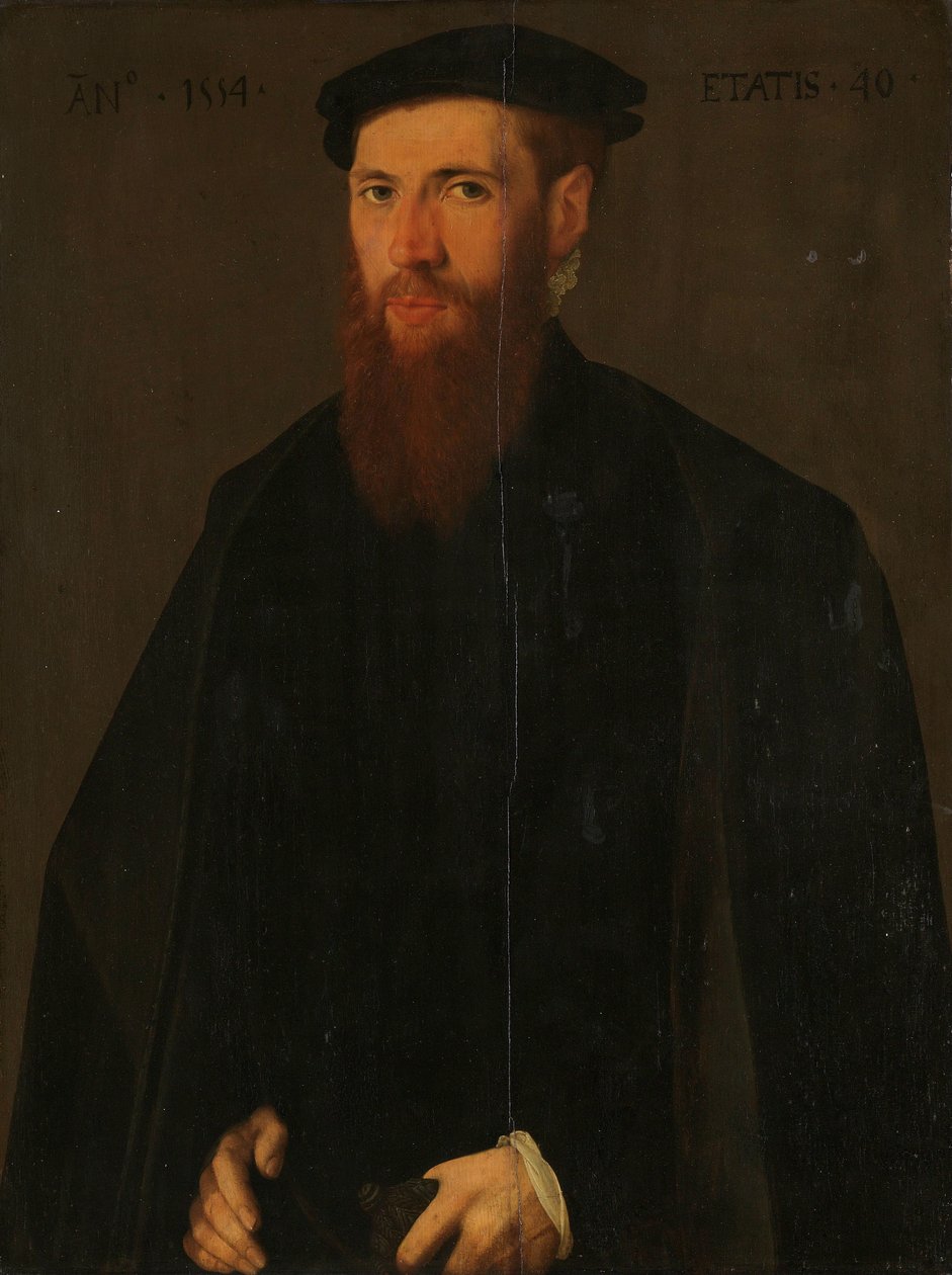 Retrato de Willem van Lokhorst (1514-64) de Jan van Scorel (copy after)