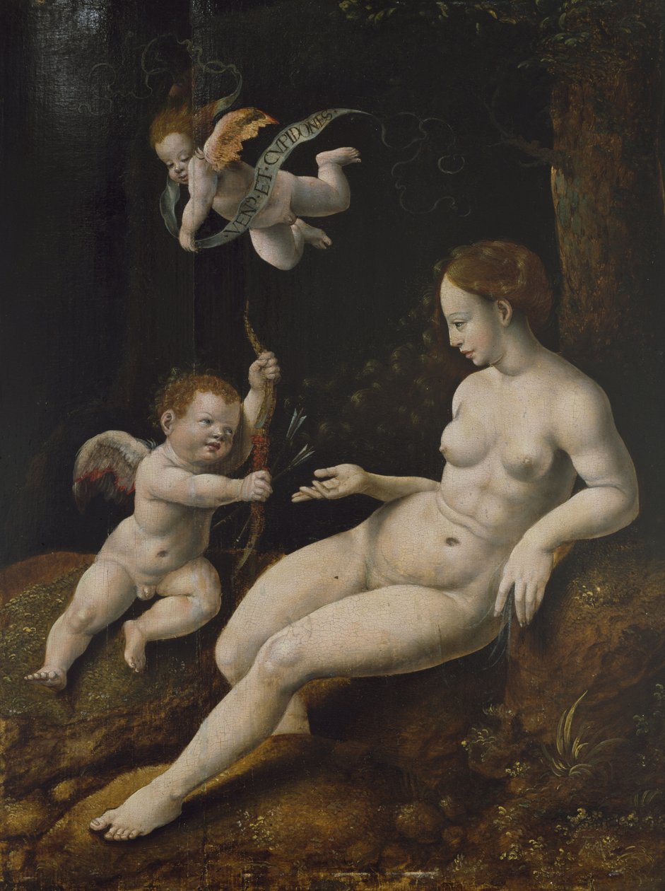 Venus y dos cupidos, c.1528 de Jan van Scorel