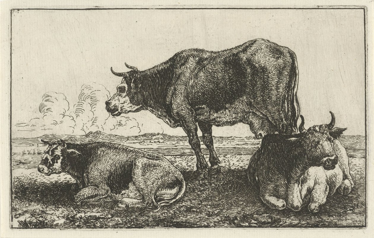 tres vacas Animales (título de la serie) Zoographiam (título de la serie) de Jan van den Hecke