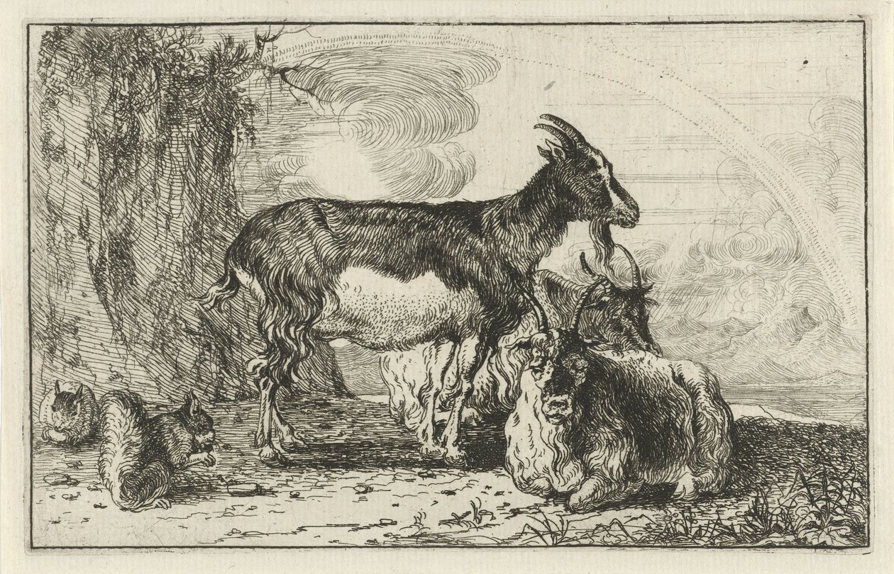 cabras Animales (título de la serie) Zoographiam (título de la serie) de Jan van den Hecke