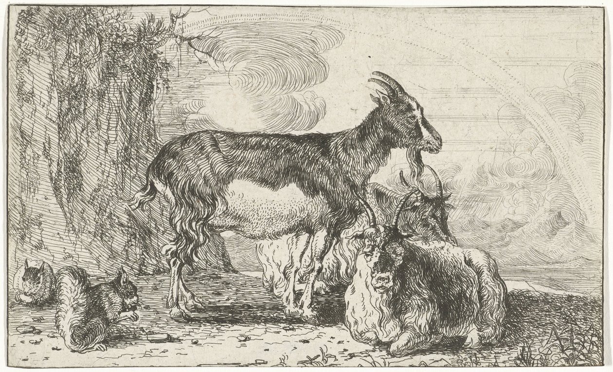 cabras Animales (título de la serie) Zoographiam (título de la serie) de Jan van den Hecke