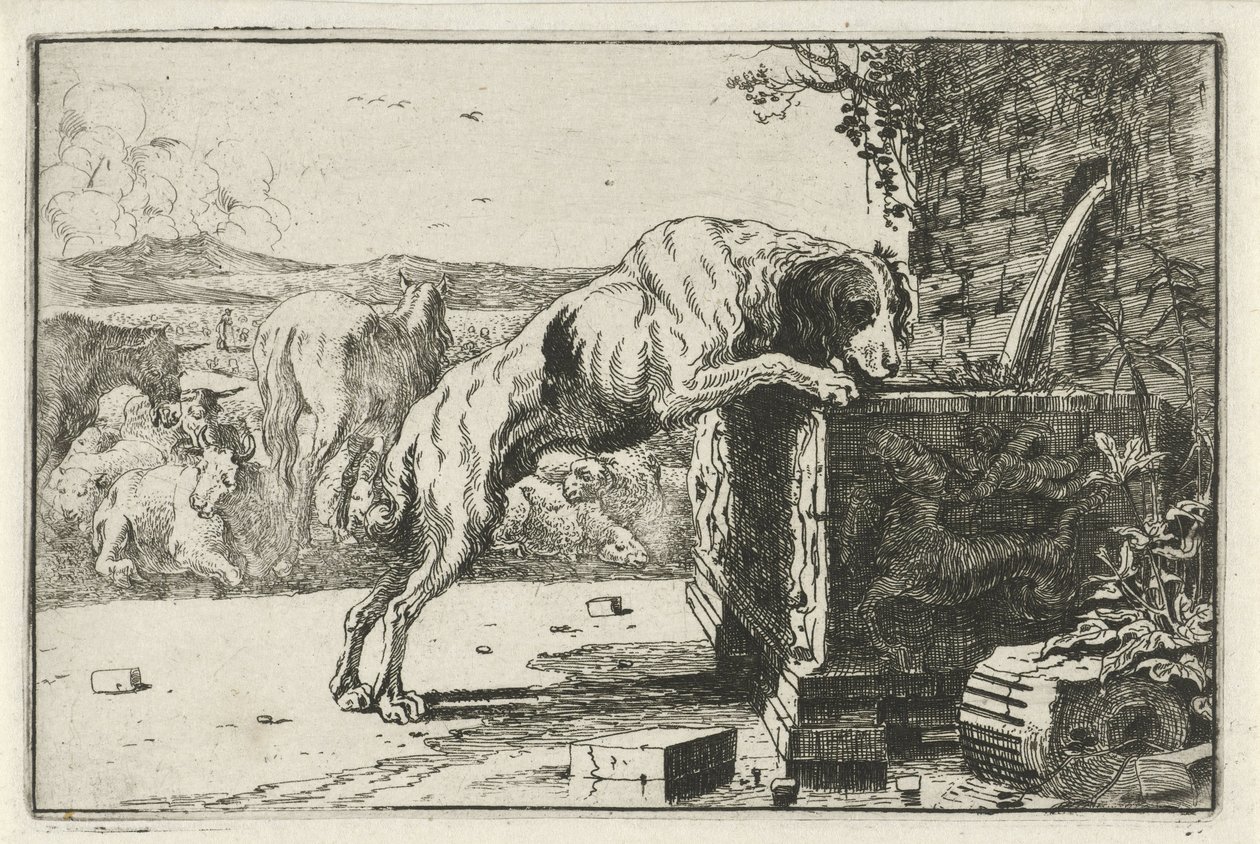 perro en una fuente Animales (título de la serie) Zoographiam (título de la serie) de Jan van den Hecke
