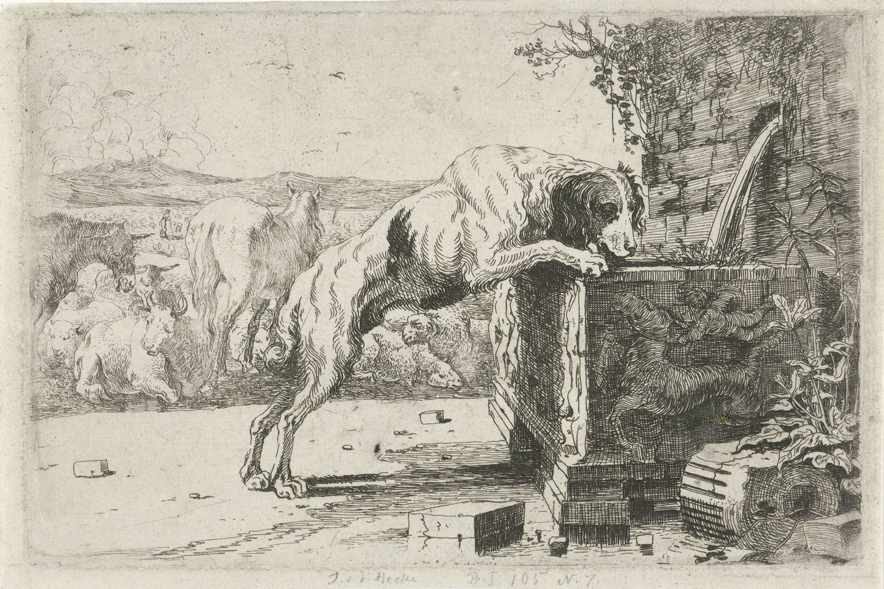 perro en una fuente Animales (título de la serie) Zoographiam (título de la serie) de Jan van den Hecke
