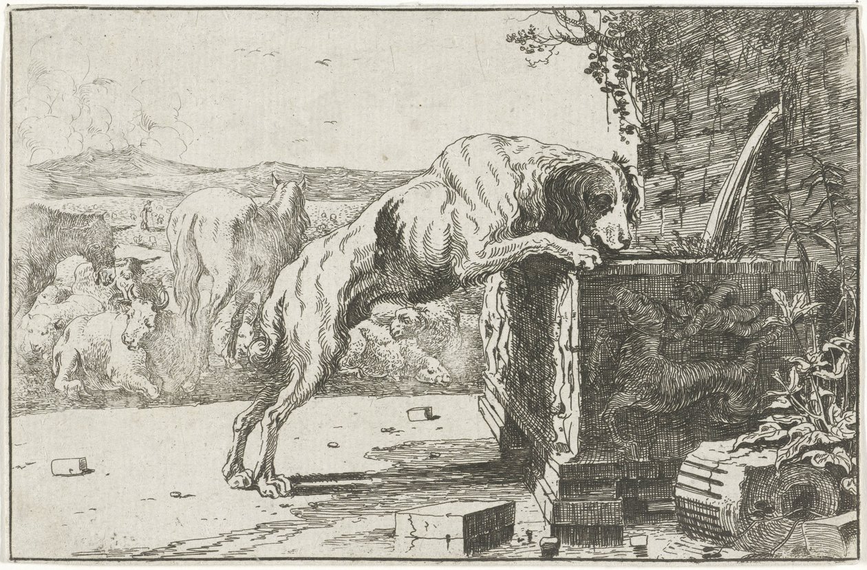perro en una fuente Animales (título de la serie) Zoographiam (título de la serie) de Jan van den Hecke