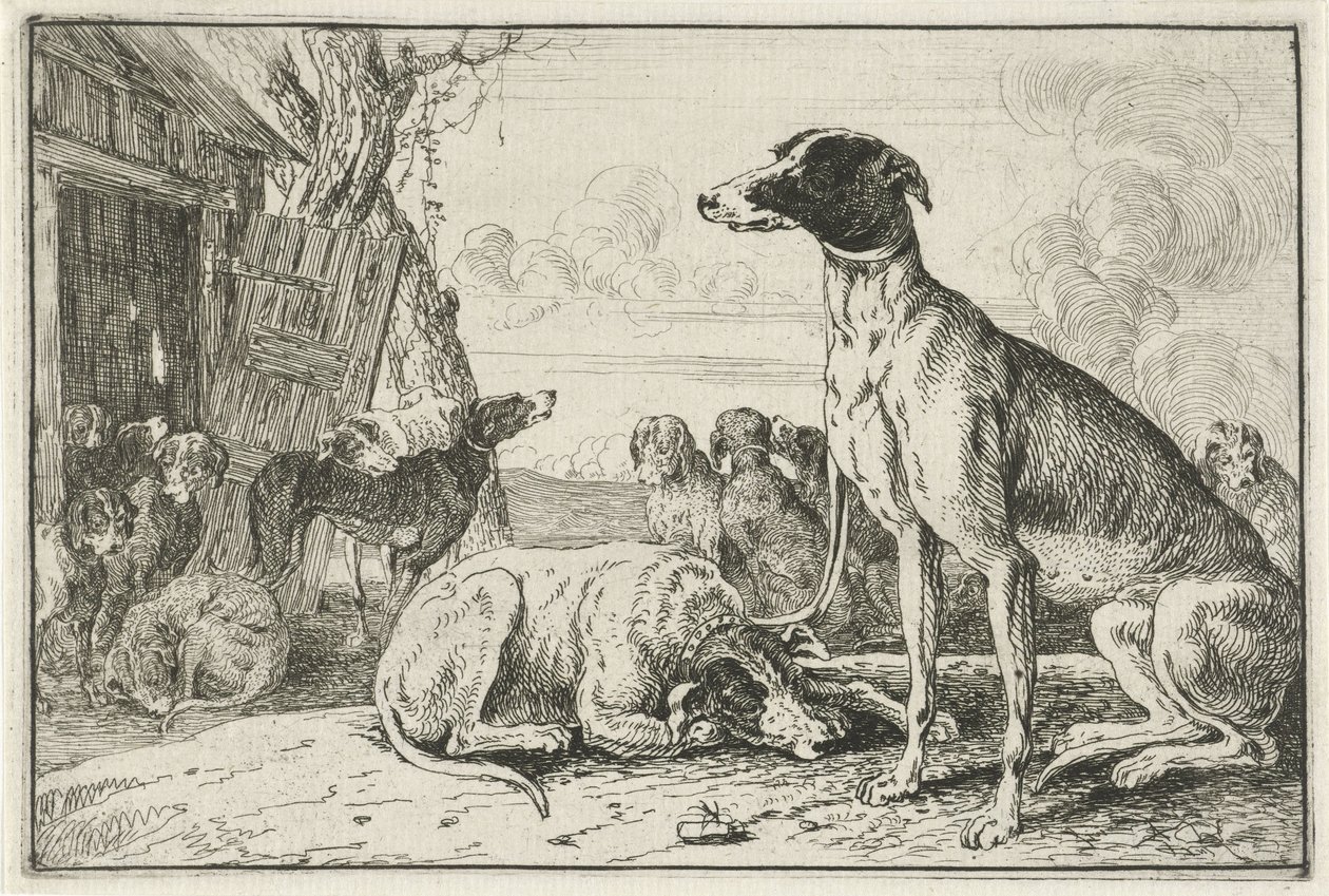 perrera Animales (título de la serie) Zoographiam (título de la serie) de Jan van den Hecke