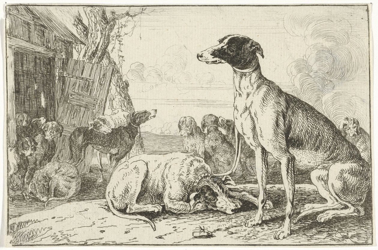 perrera Animales (título de la serie) Zoographiam (título de la serie) de Jan van den Hecke