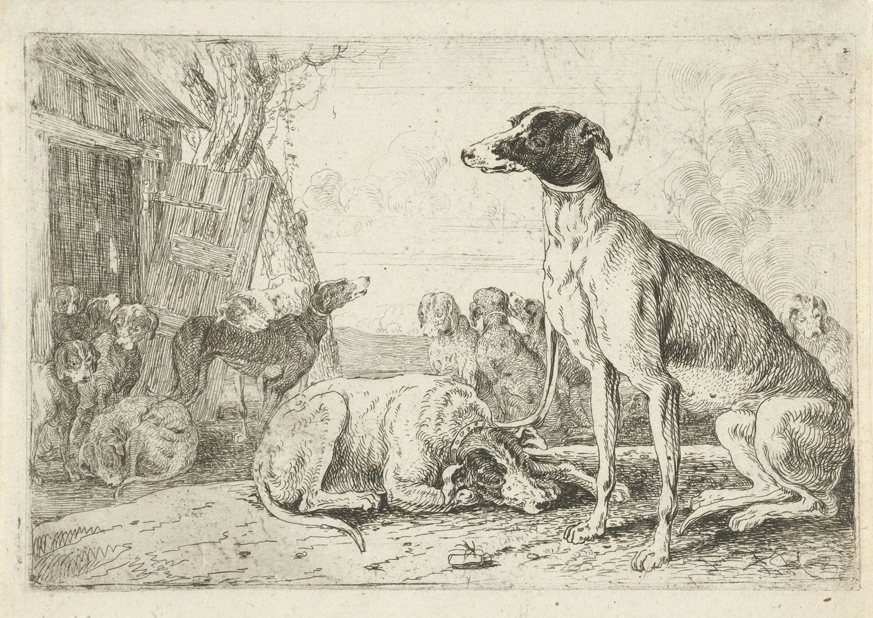perrera Animales (título de la serie) Zoographiam (título de la serie) de Jan van den Hecke