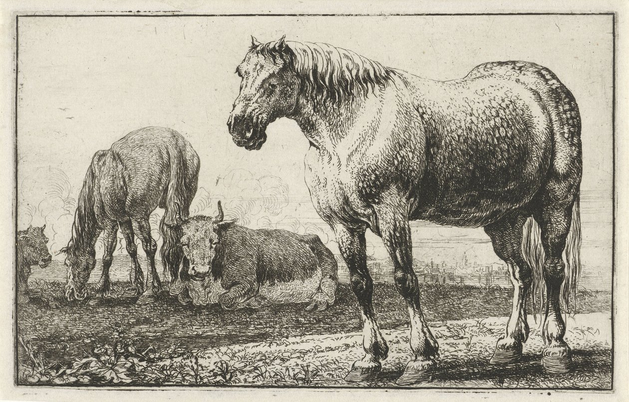 caballos y vacas Animales (título de la serie) Zoographiam (título de la serie) de Jan van den Hecke