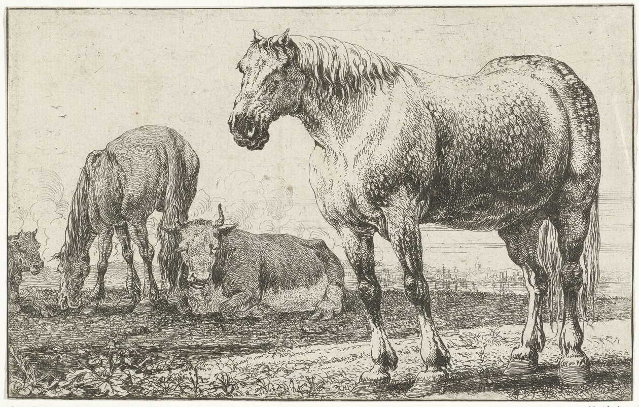caballos y vacas Animales (título de la serie) Zoographiam (título de la serie) de Jan van den Hecke