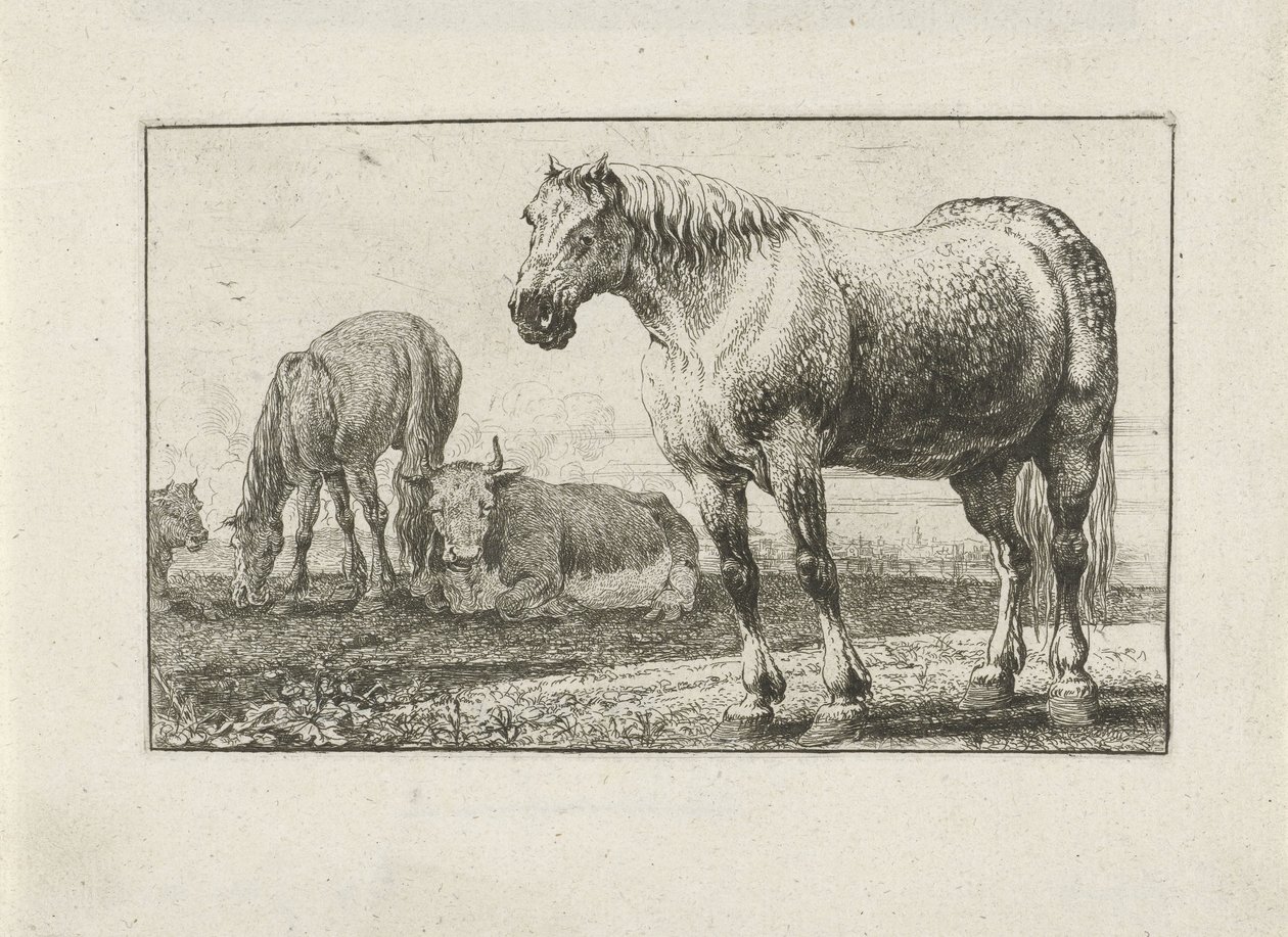 caballos y vacas Animales (título de la serie) Zoographiam (título de la serie) de Jan van den Hecke