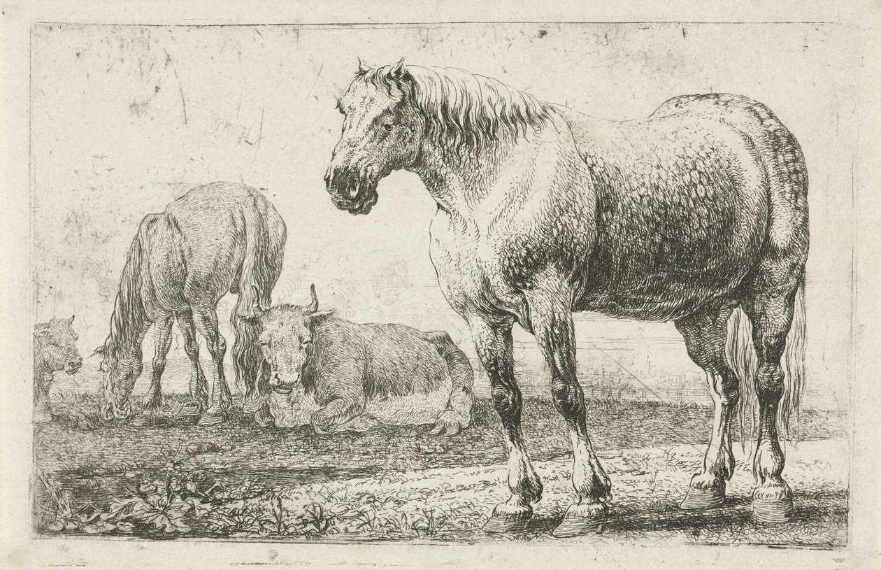 caballos y vacas Animales (título de la serie) Zoographiam (título de la serie) de Jan van den Hecke