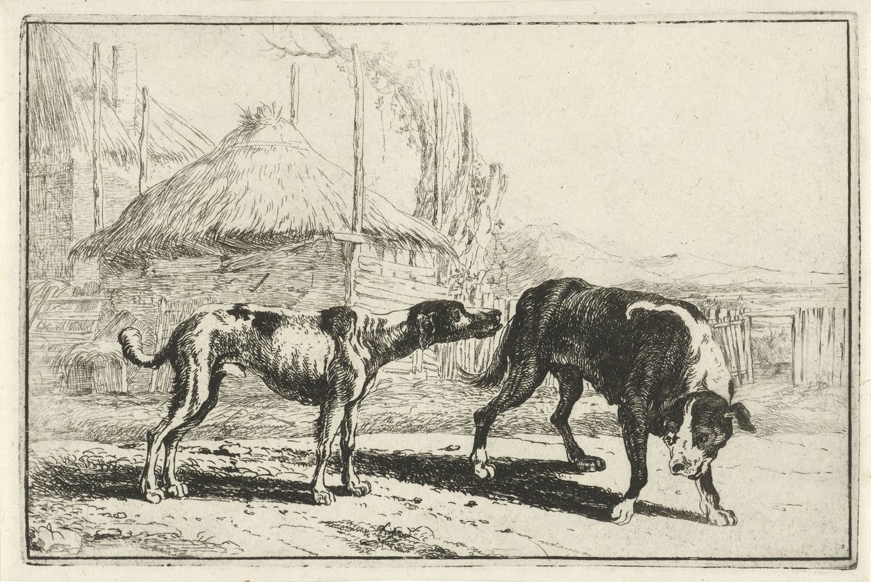 Hombre y mujer Animales (título de la serie) Zoographiam (título de la serie) de Jan van den Hecke