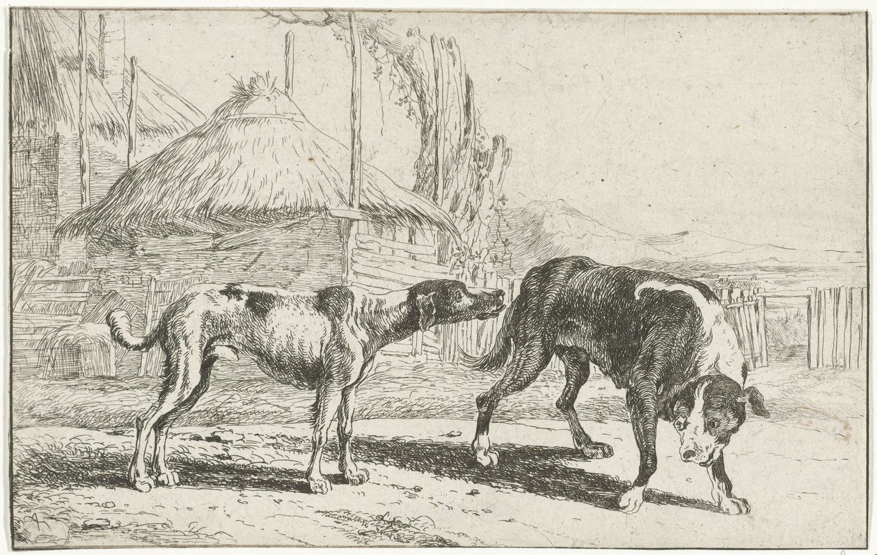 Hombre y mujer Animales (título de la serie) Zoographiam (título de la serie) de Jan van den Hecke