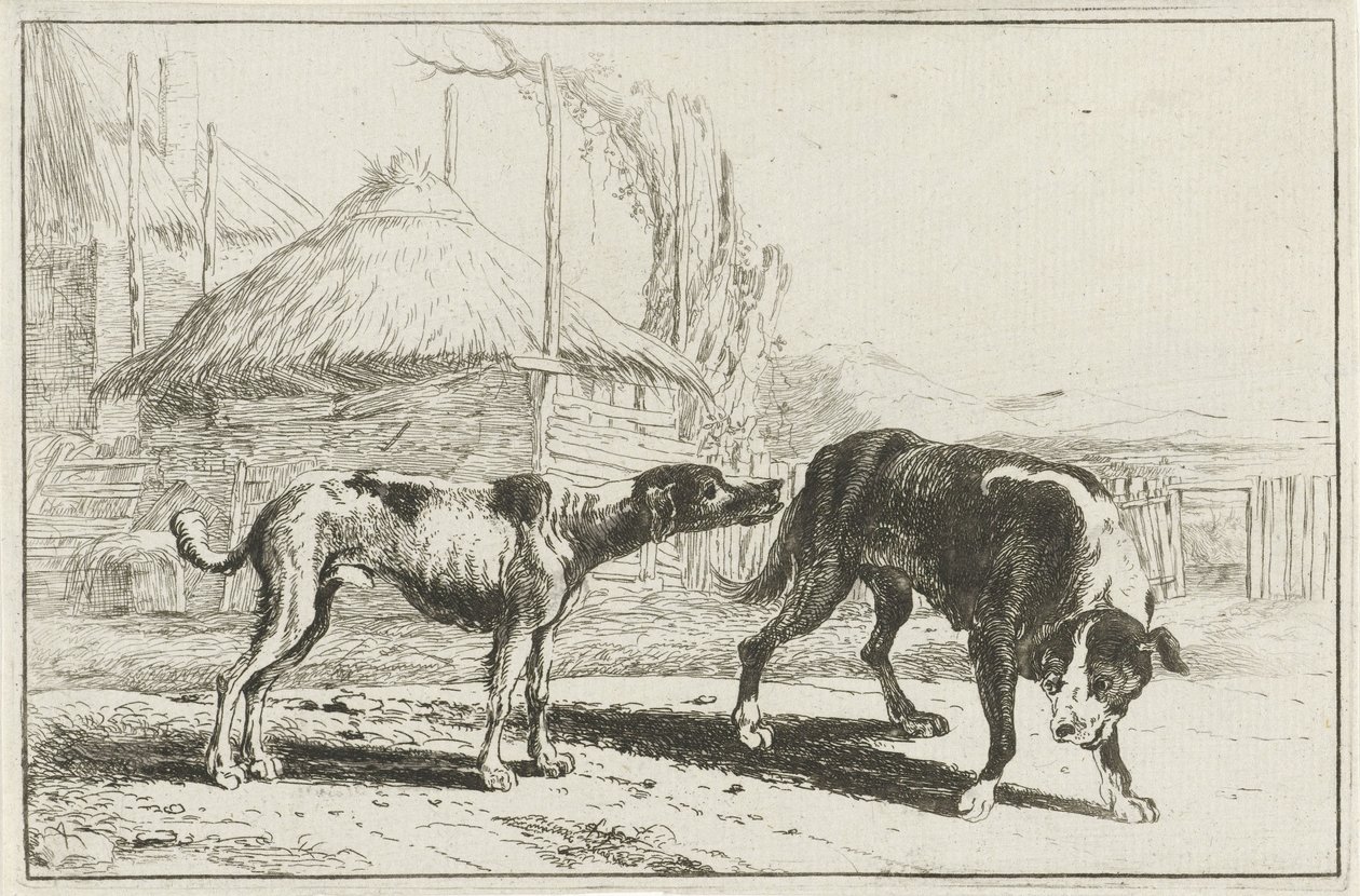 Hombre y mujer Animales (título de la serie) Zoographiam (título de la serie) de Jan van den Hecke