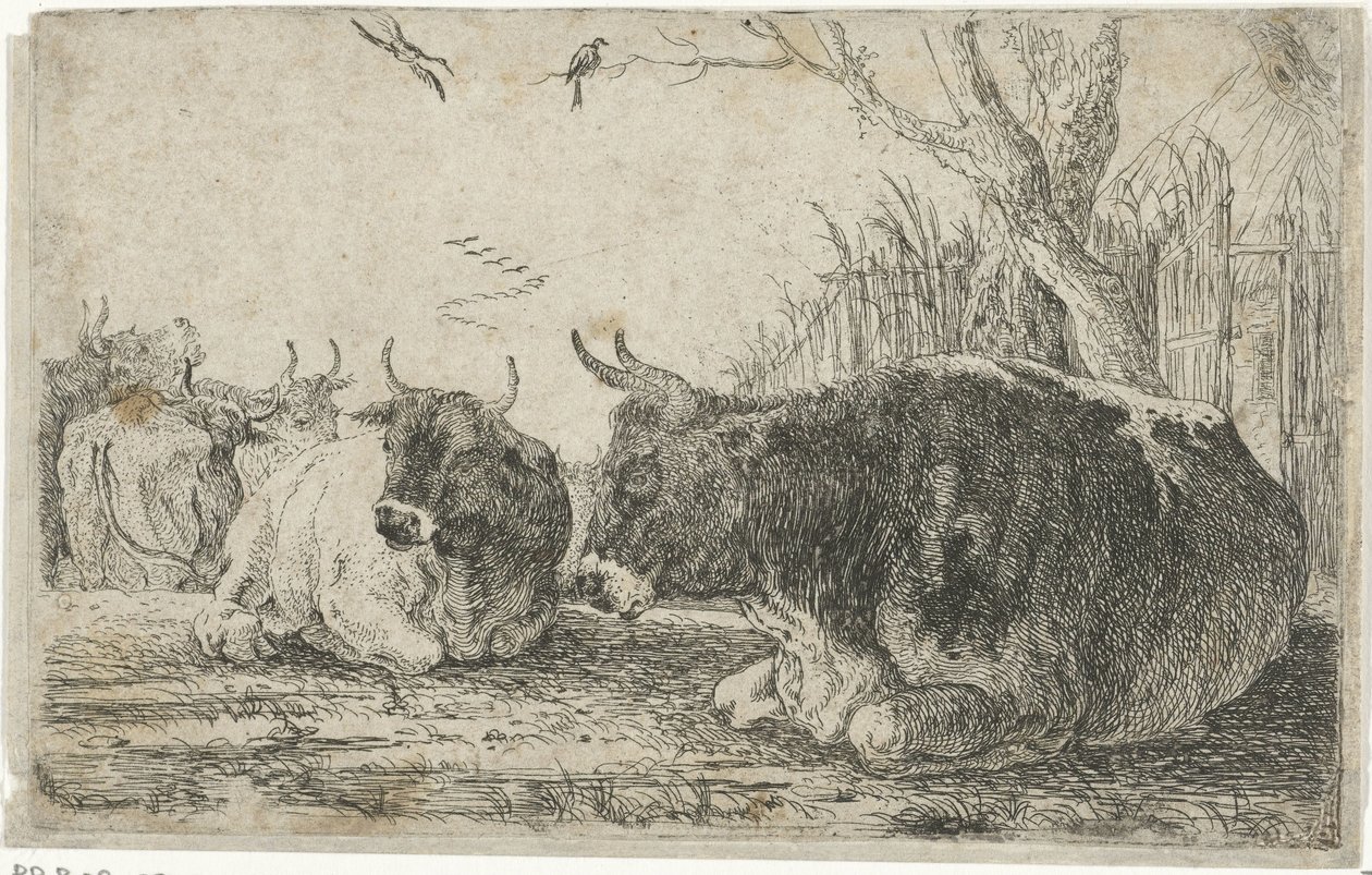 vacas descansando Animales (título de la serie) Zoographiam (título de la serie) de Jan van den Hecke