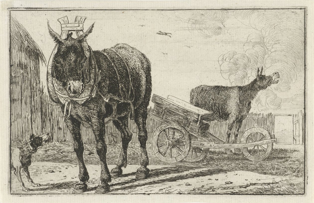 dos burros Animales (título de la serie) Zoographiam (título de la serie) de Jan van den Hecke