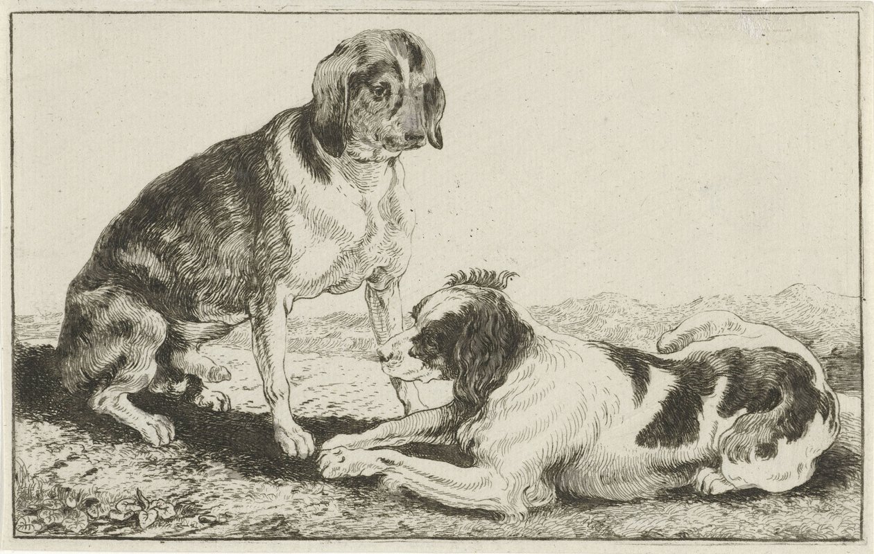 Dos perros descansando Animales (título de la serie) Zoographiam (título de la serie) de Jan van den Hecke
