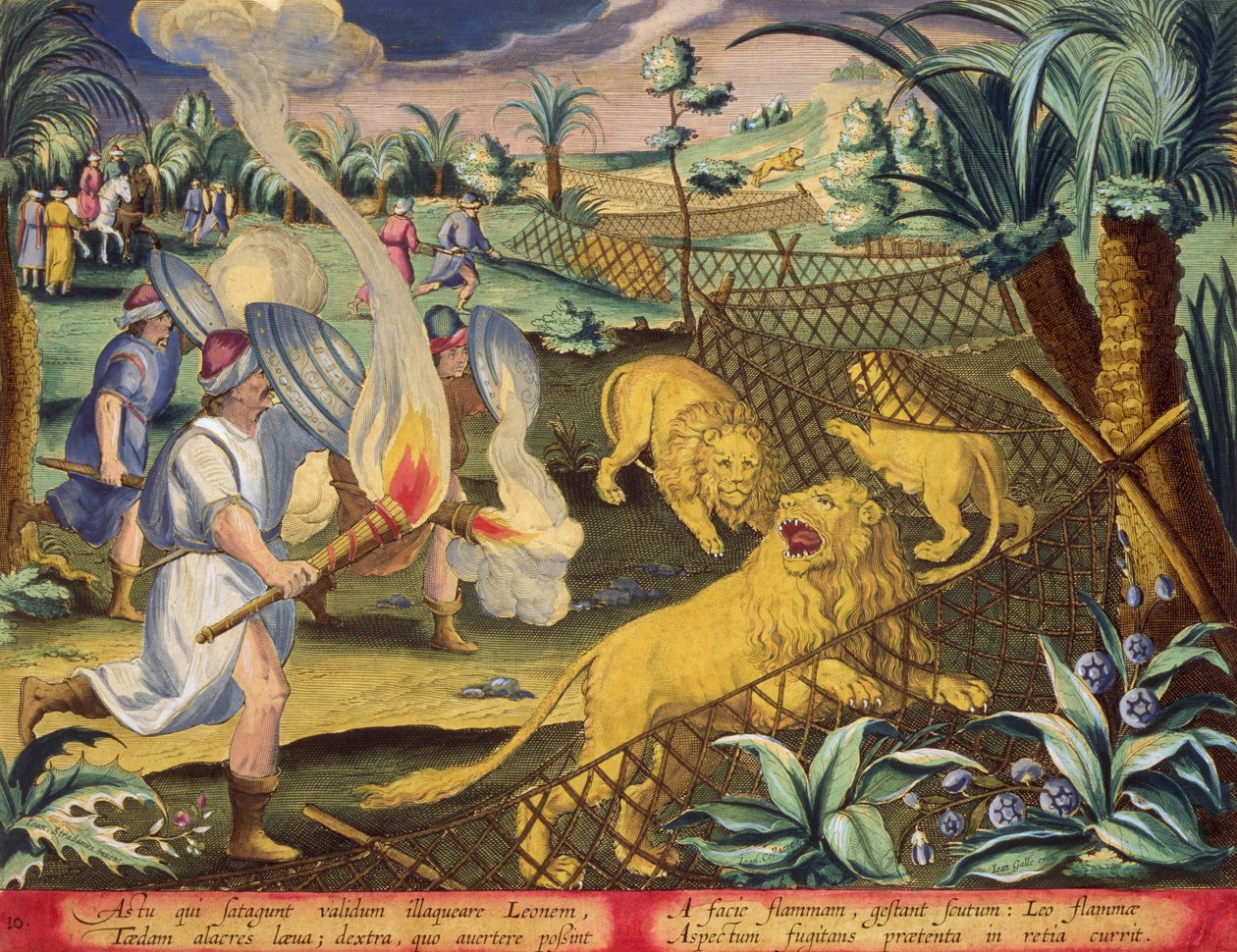 Una cacería romana, probablemente en el norte de África, lámina 10 de "Venationes Ferarum, Avium, Piscium" (De la caza: bestias salvajes, aves, peces) grabada por Jan Collaert (1566-1628) y publicada por Phillipus Gallaeus de Amsterdam (grabado coloreado a de Jan van der (1523 1605) (after) Straet