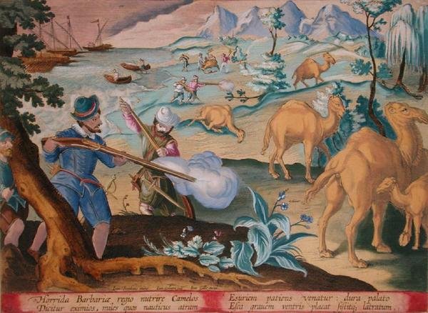 Marineros en un horrible país bárbaro matan camellos con mosquetes para aliviar su hambre, lámina 28 "Venationes Ferarum, Avium, Piscium" (De la caza: bestias salvajes, aves, peces) grabado por Jan Collaert (1566-1628) publicado por Phillipus Gallaeus de A de Jan van der (1523 1605) (after) Straet