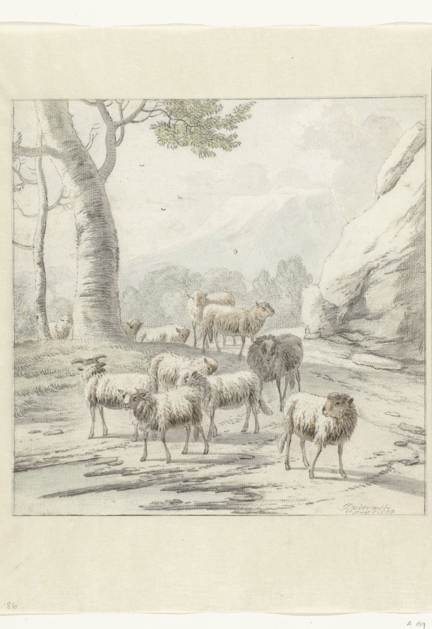 paisaje con un rebaño de ovejas cerca de un árbol de Jan van der Meer (II)