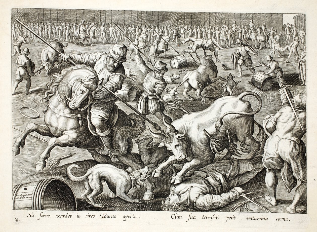 Una corrida de toros en un recinto, ilustración de 