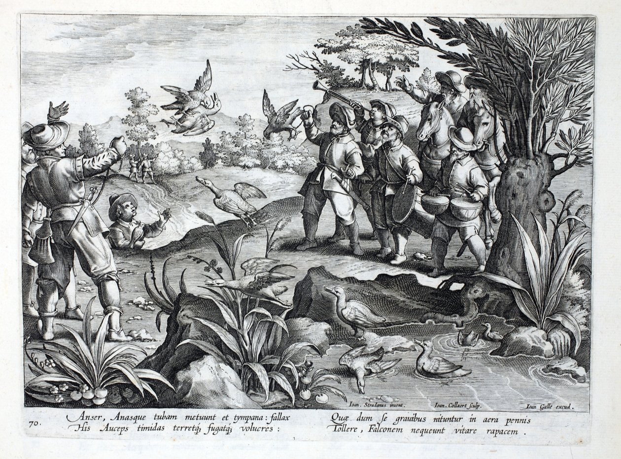 Cazadores usando halcones para cazar gansos, ilustración de 