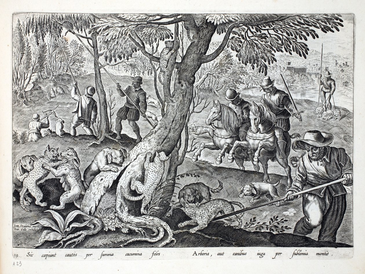 Cazando gatos con perros, ilustración de 
