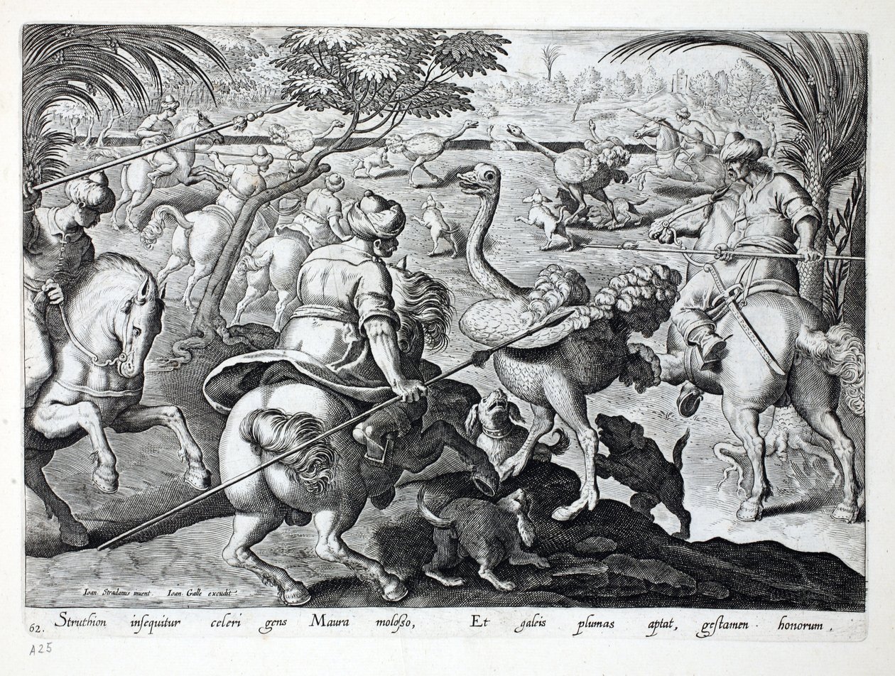 Moros a caballo cazando avestruces, lámina 62, ilustración de 