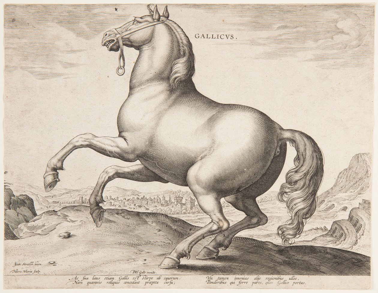 Un Caballo Francés, del primer conjunto de "Equile Joannis Austriaci" de Jan van der Straet, called Stradanus