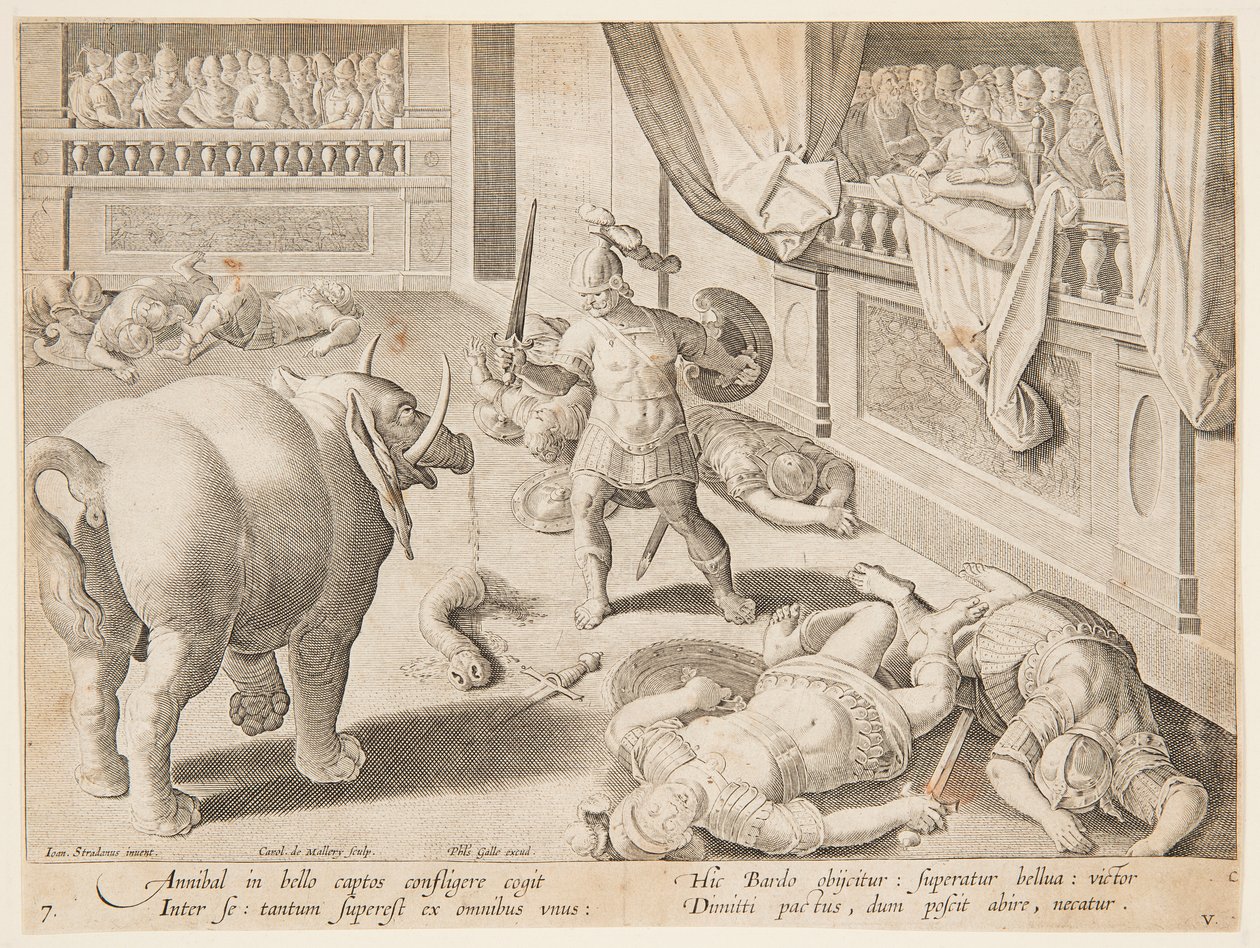 Un Soldado Romano Luchando contra uno de los Elefantes de Aníbal, pl. 7 en la serie Venationes Ferarum, Avium, Piscium de Jan van der Straet, called Stradanus