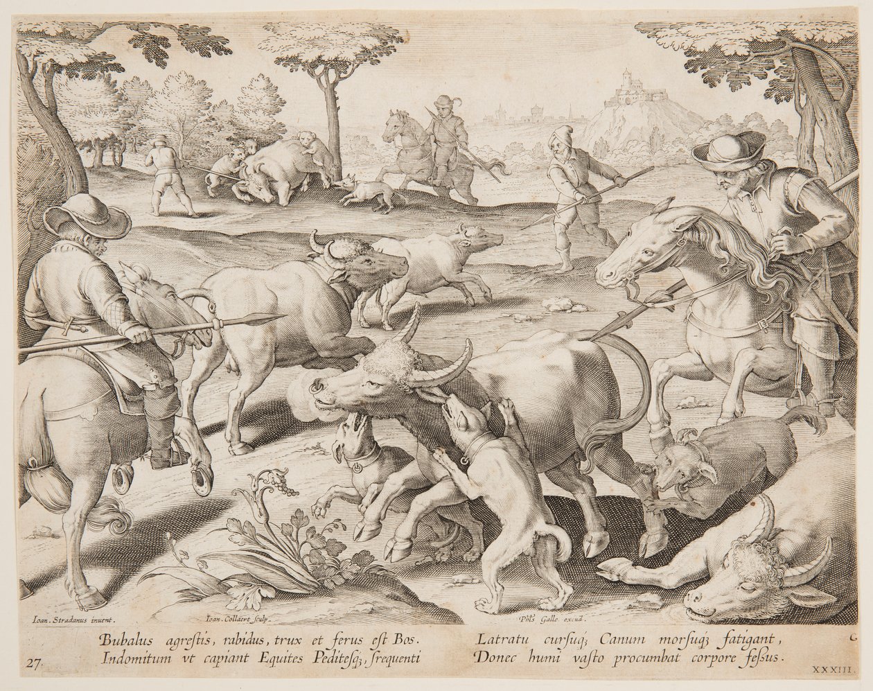 Caza de Búfalos, lámina 27 en la serie Venationes Ferarum, Avium, Piscium de Jan van der Straet, called Stradanus