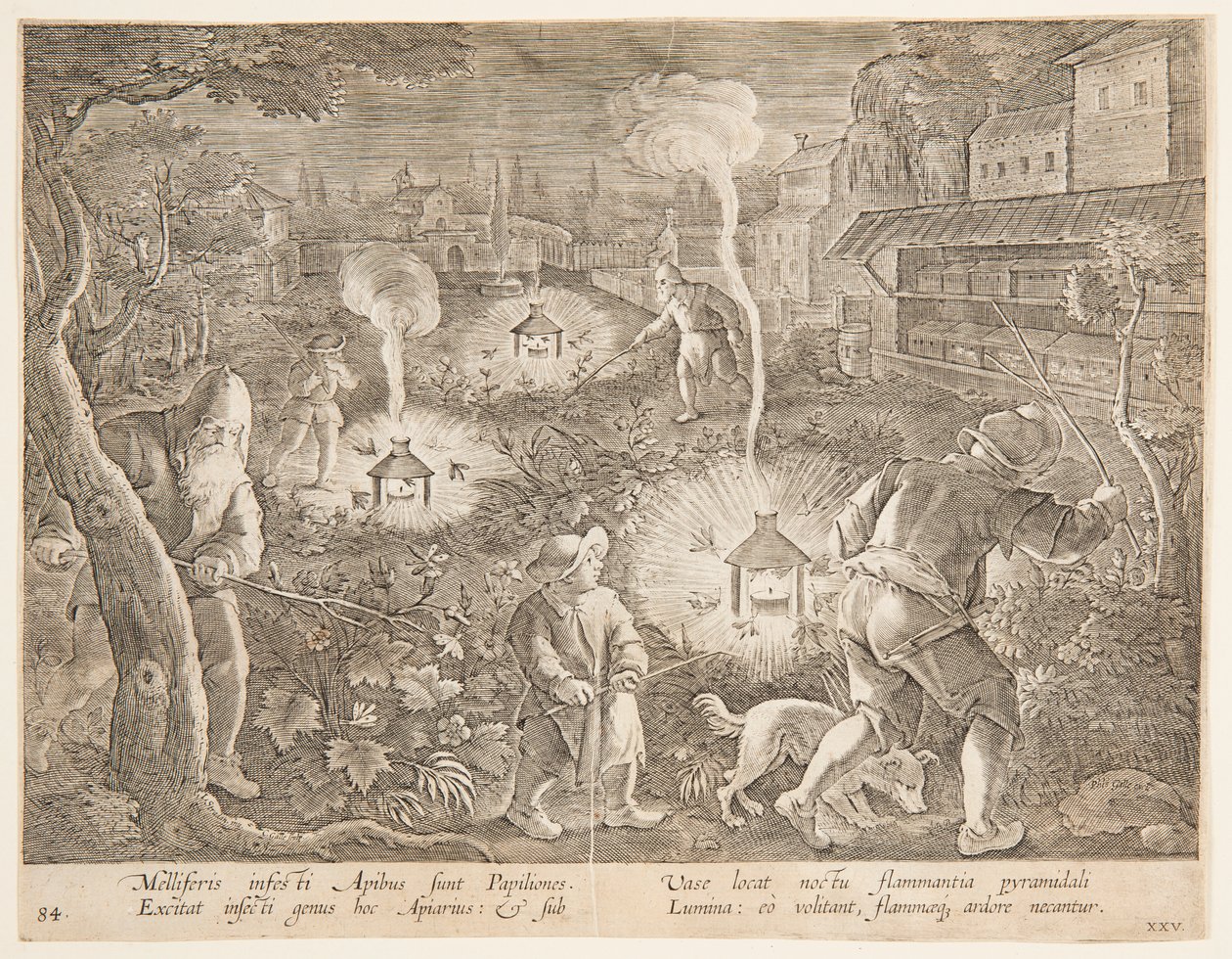 Cazando Polillas Nocturnas, lámina 25 de la serie Venationes Ferarum, Avium, Piscium de Jan van der Straet, called Stradanus